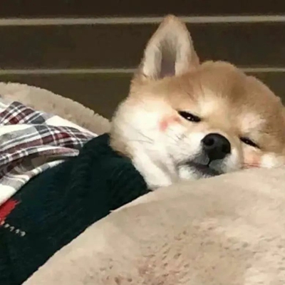 如何拒絕擺爛心理 