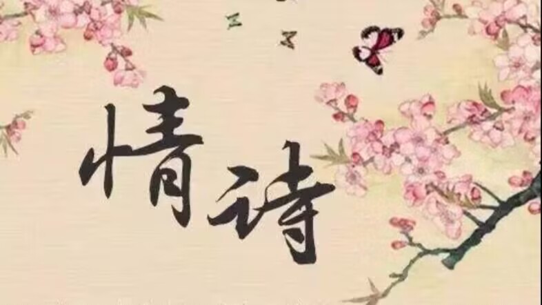 最美情詩(shī)短句，你最喜歡哪一個(gè)?