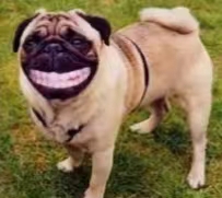 什么是治愈心靈最好的方式