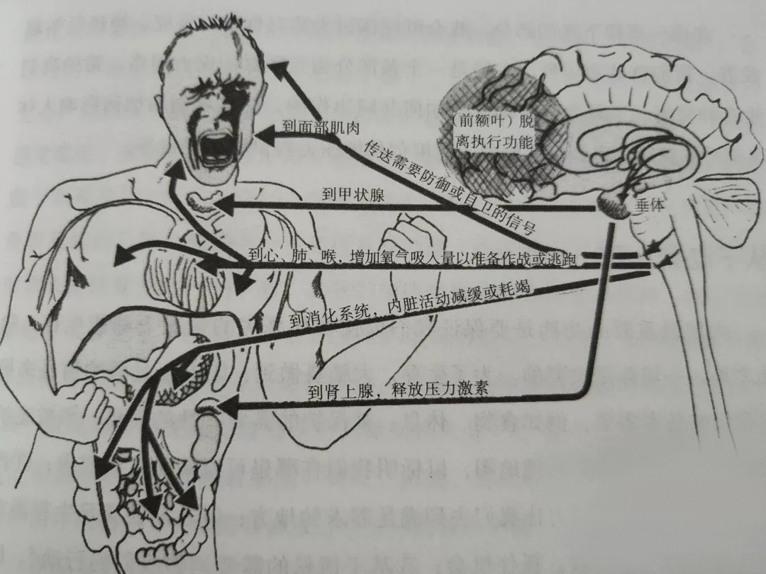 為什么“過去”難以真正過去！4種方式應(yīng)對創(chuàng)傷