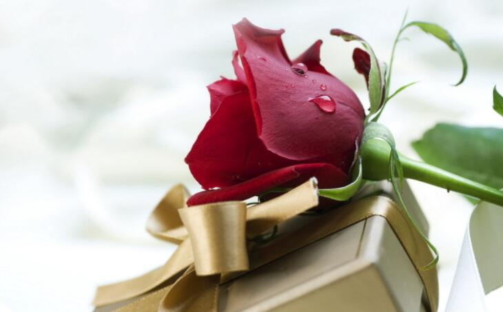 人或許是最需要關(guān)系的生物