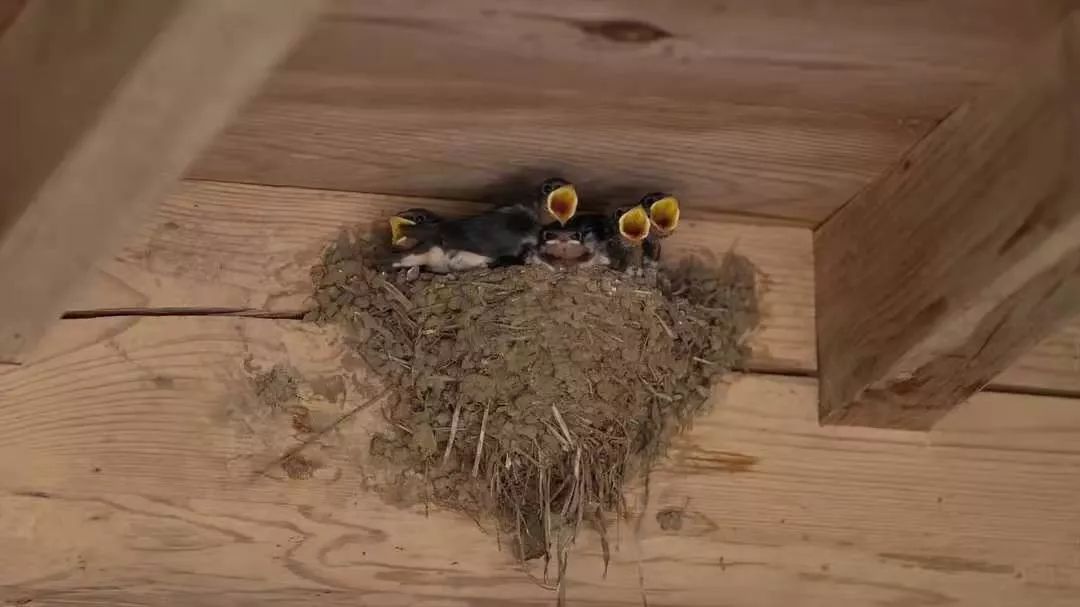 自己沒有的東西，別從伴侶身上要