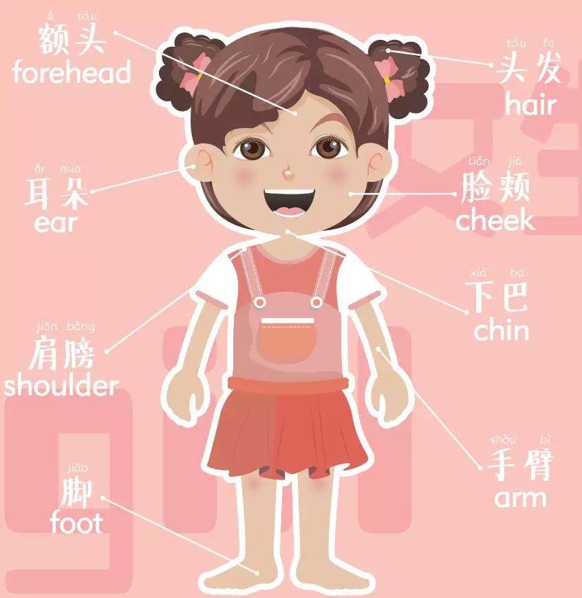 兒童性教育、安全教育如何啟蒙？