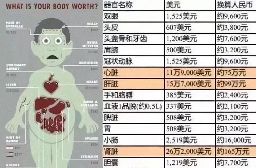 舒淇宣布暫告演員生涯：人到中年，錢不是最重要的
