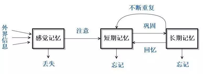 背書總是忘？記憶心理學(xué)教你好方法！