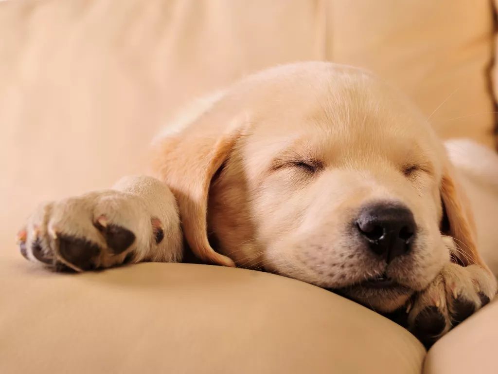 早起毀上午晚起毀一天？你對睡眠認知有多少