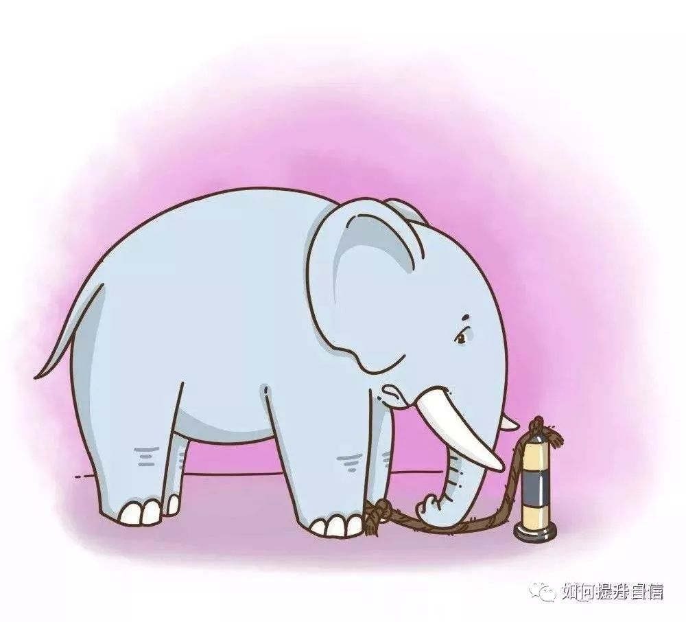 一定要看的心理學(xué)效應(yīng)：習(xí)得性無助實(shí)驗(yàn)