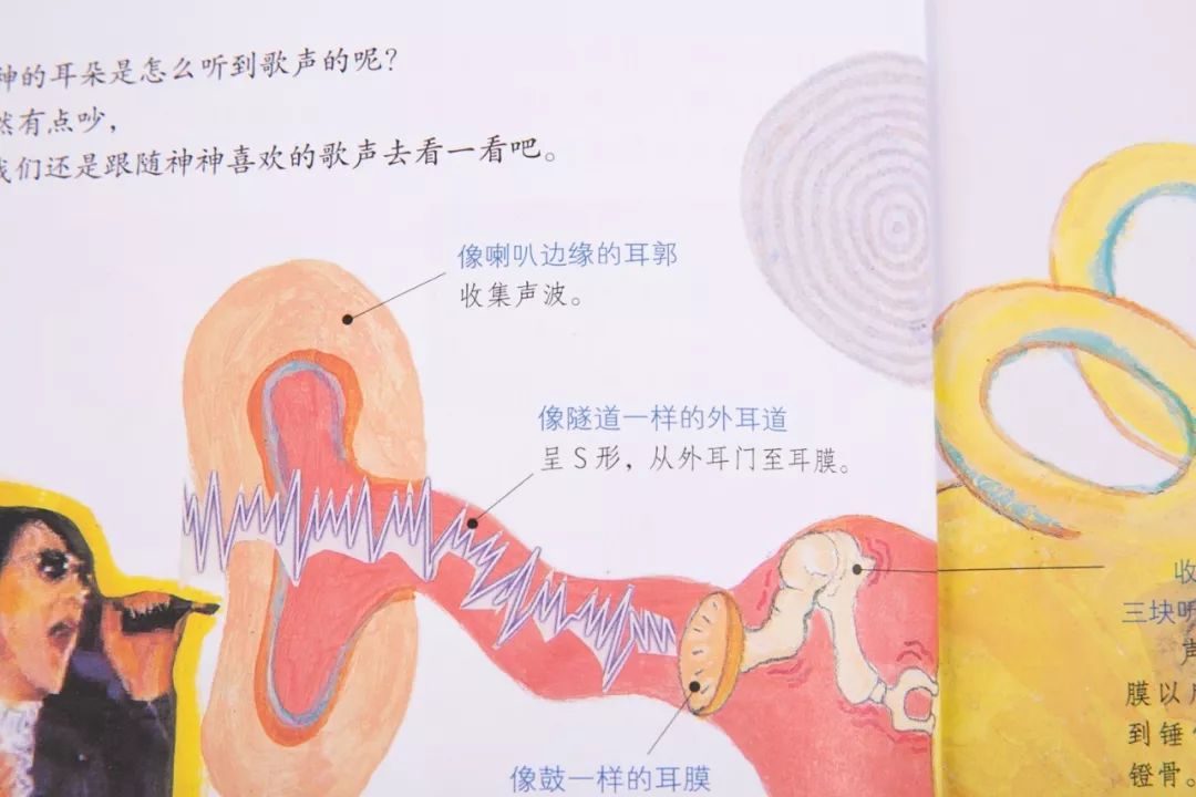 如何滿足孩子的求知欲