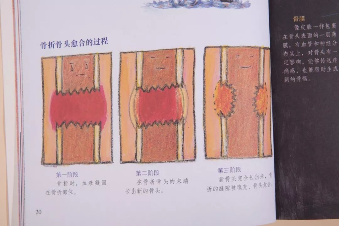 如何滿足孩子的求知欲