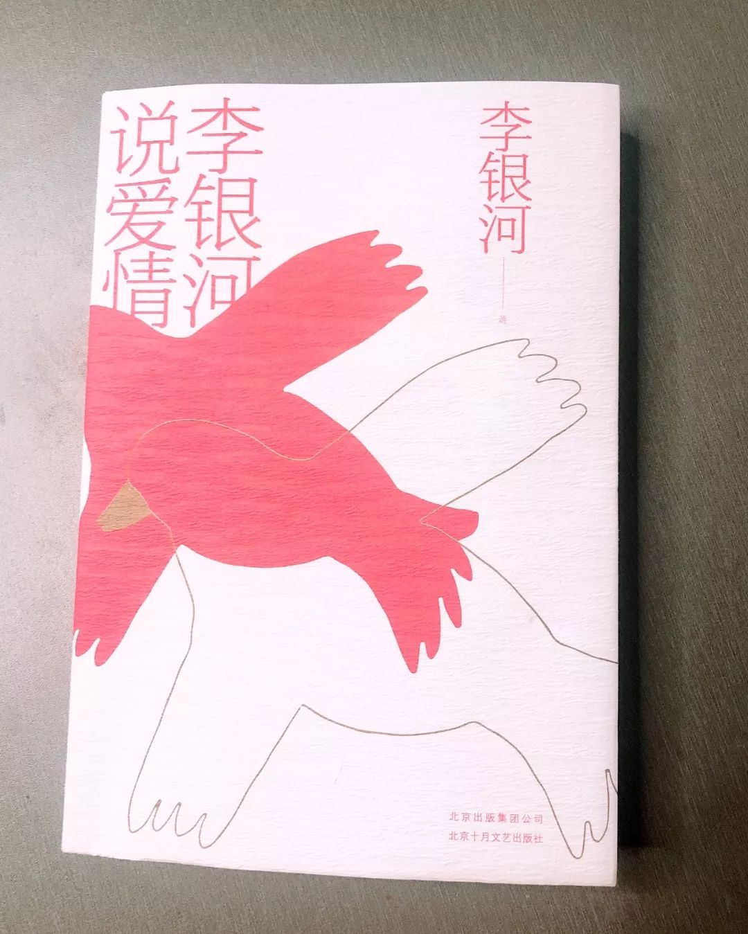 愛真的存在嗎？李銀河曾奇峰談婚姻家庭、愛與性