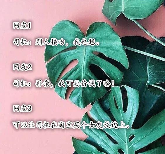 公共場所為什么禁止接吻？