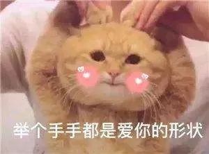 學(xué)心理學(xué)的，怎么一夜暴富？