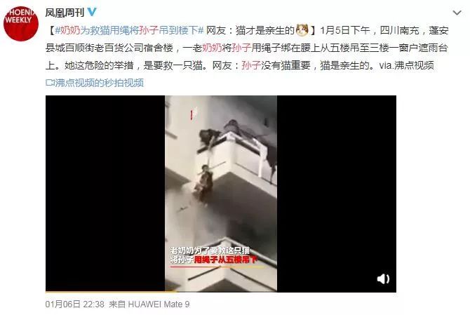為救貓，奶奶把親孫子吊在5樓外？靠譜是家長(zhǎng)的第一自我修養(yǎng)
