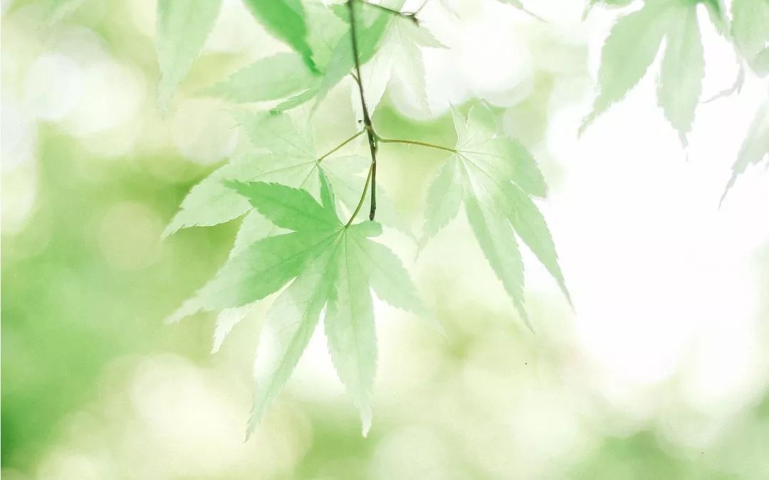 心理學(xué)效應(yīng)在生活中常有發(fā)生，它是什么效應(yīng)呢？