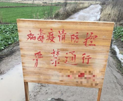 面對新型肺炎疫情，心理上如何找到好的快樂方式
