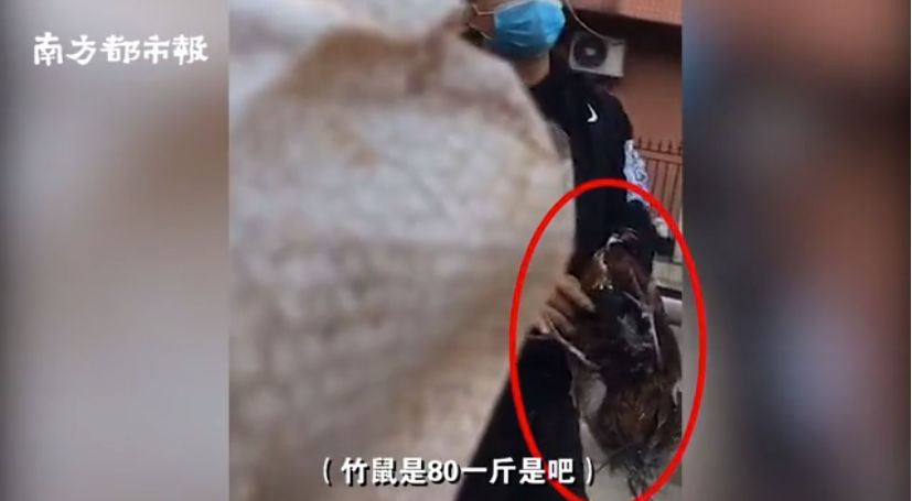確診老人隱瞞致百余人密切接觸：比病毒更可怕的，是人心