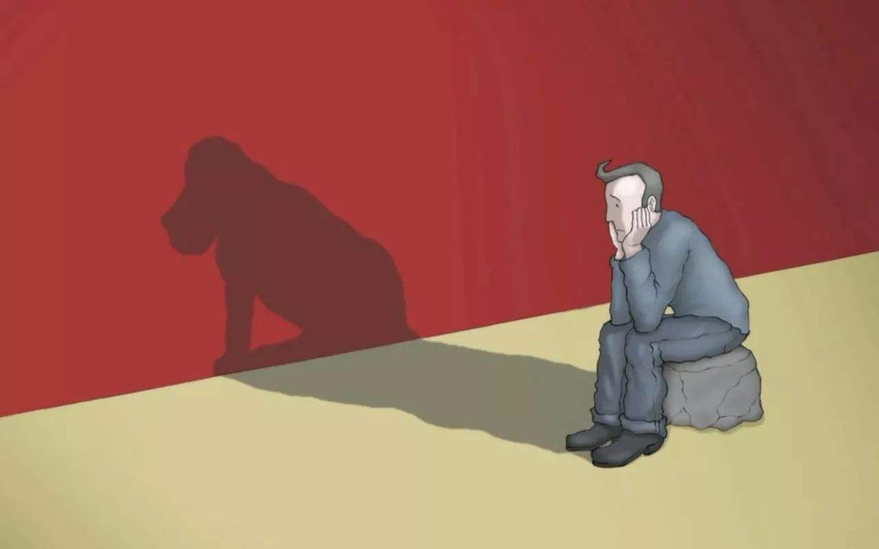 治療抑郁癥和精神分裂癥共病的藥理策略「臨床必備 」