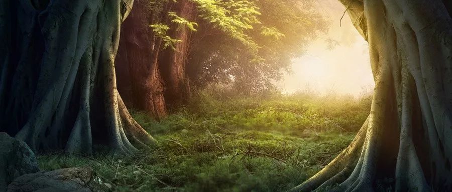 當(dāng)我們害怕死亡時，到底在怕什么？