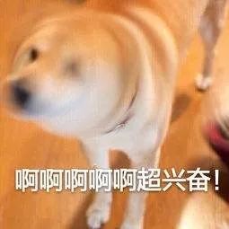 聽(tīng)說(shuō)過(guò)躁郁癥嗎：情緒上的致命過(guò)山車(chē)