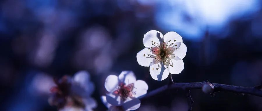 徐凱文:發(fā)現(xiàn)心理咨詢之美 徐凱文:發(fā)現(xiàn)心理咨詢之美