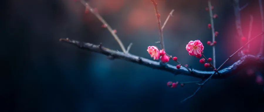 徐凱文:發(fā)現(xiàn)心理咨詢之美 徐凱文:發(fā)現(xiàn)心理咨詢之美