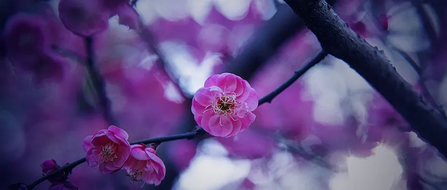 徐凱文:發(fā)現(xiàn)心理咨詢之美 徐凱文:發(fā)現(xiàn)心理咨詢之美