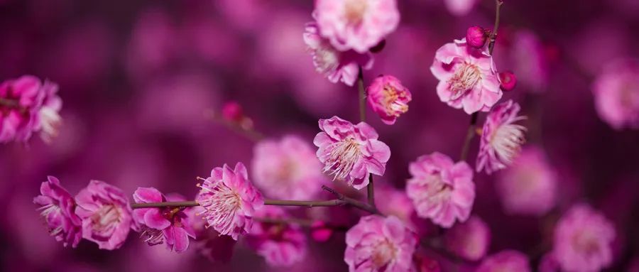 徐凱文:發(fā)現(xiàn)心理咨詢之美 徐凱文:發(fā)現(xiàn)心理咨詢之美