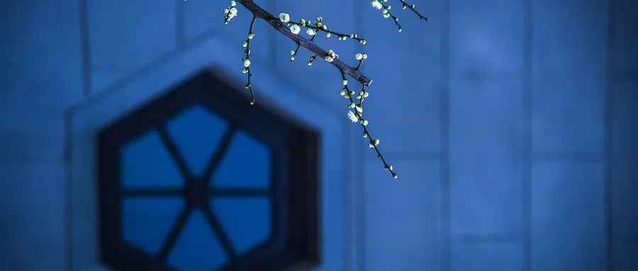 徐凱文：發(fā)現(xiàn)心理咨詢之美