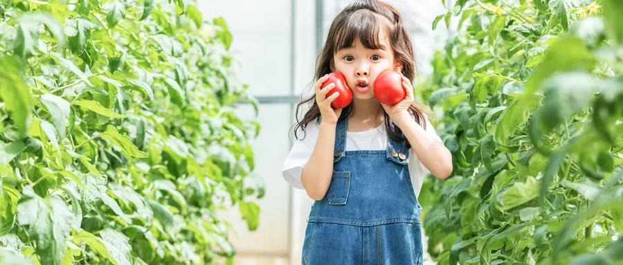 兒童心理咨詢師或心理治療師應具備的條件
