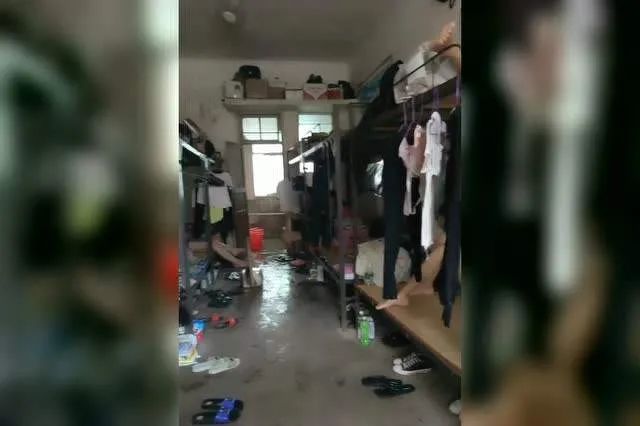 男人來(lái)自地球，女人來(lái)自地球：兩性差異的本質(zhì)