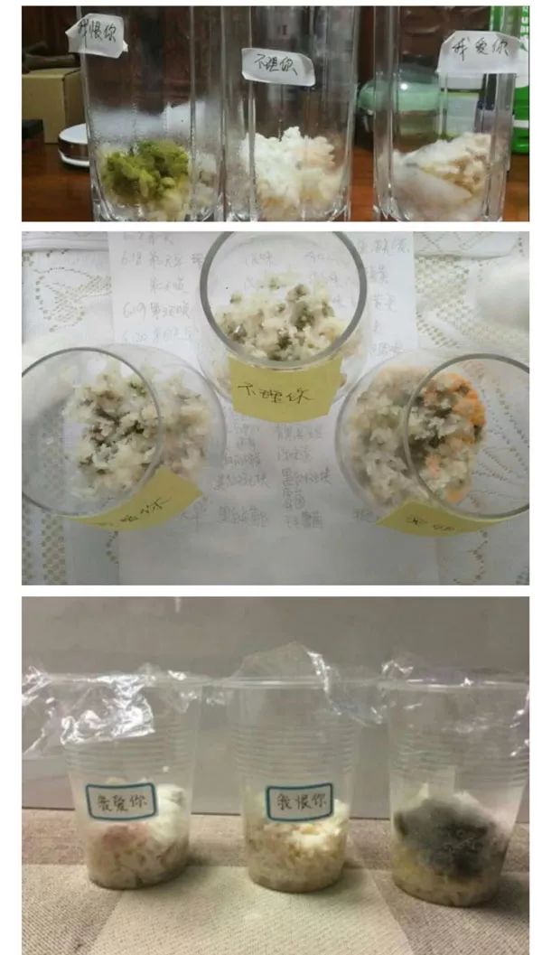 《水知道答案》意念的力量，花療師的米飯實驗