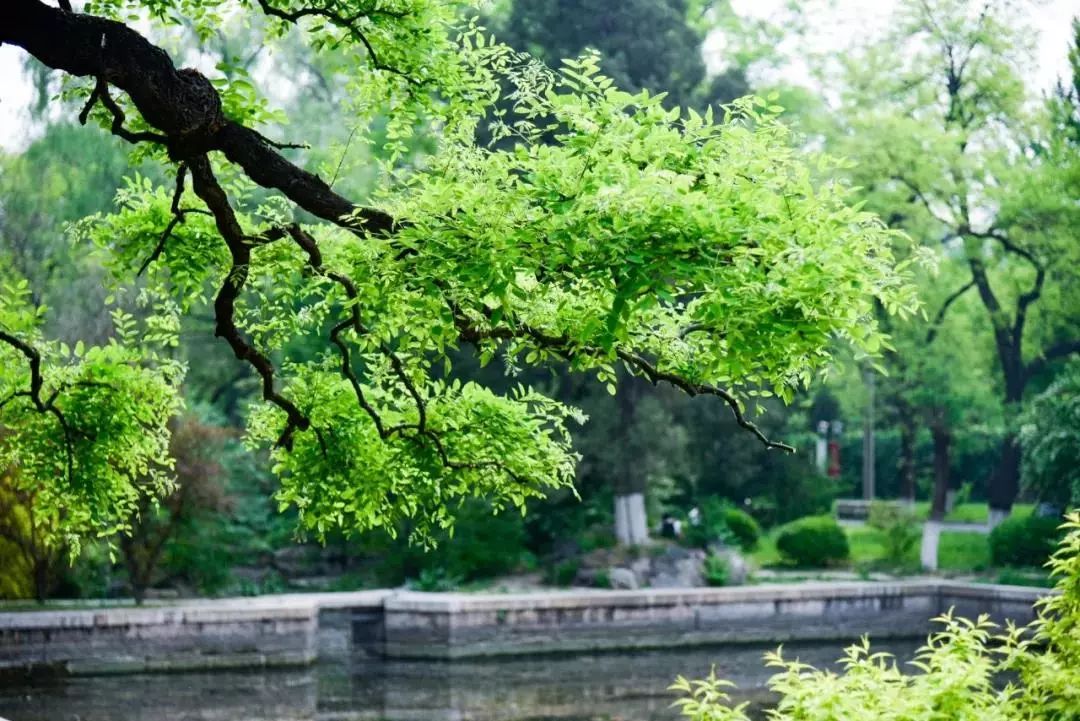 你真的做到大學(xué)新生的“自主性”了嗎？
