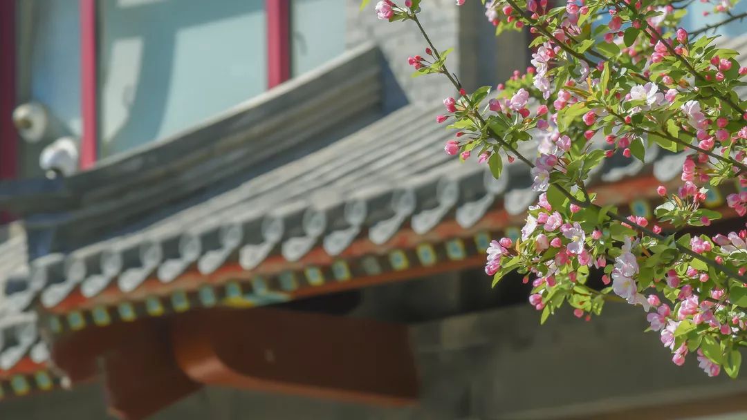 你真的做到大學(xué)新生的“自主性”了嗎？