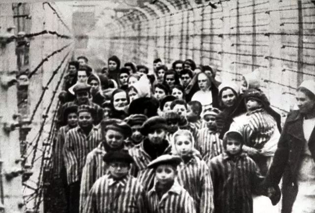 人是可以被馴化的，斯德哥爾摩綜合征