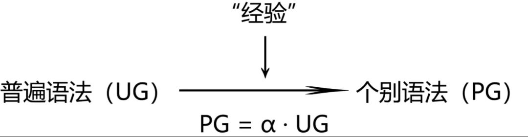 喬姆斯基的語(yǔ)言學(xué)觀點(diǎn)
