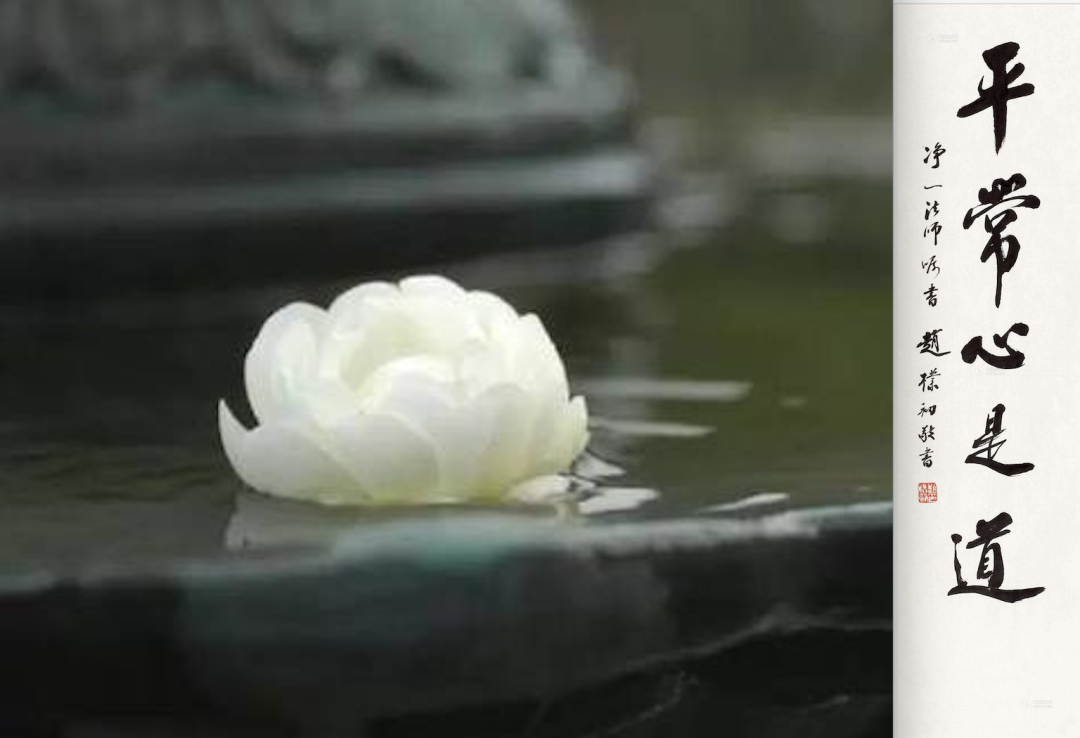 超人、平常心、抑郁癥-關(guān)于生命的意義