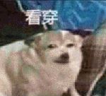 如何正確的找到男朋友？
