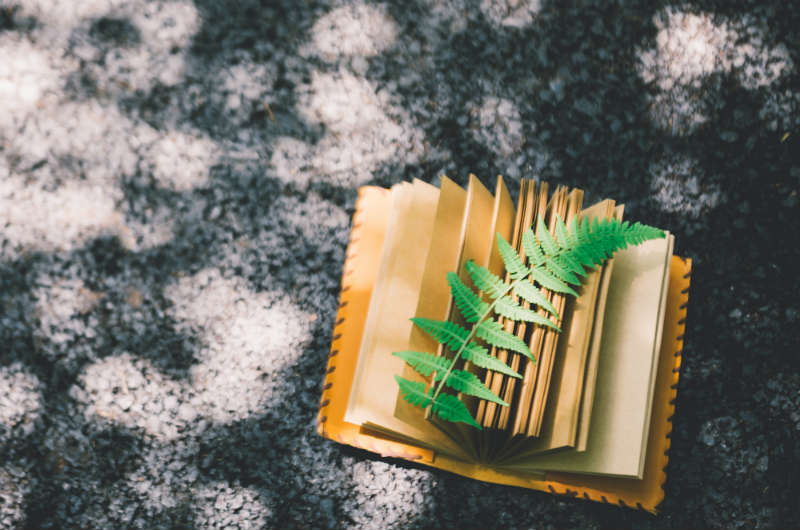 快本隱形人吳昕：高情商者的6種人格魅力，你有幾種？