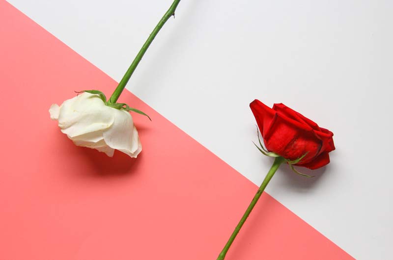 處理不好自我關(guān)系，難怪你每次戀愛都失?。?>
						    </a>
					    </div>
						<h3><a href=