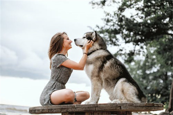 老公出軌怎么修復(fù)關(guān)系?老公出軌后如何修復(fù)夫妻感情