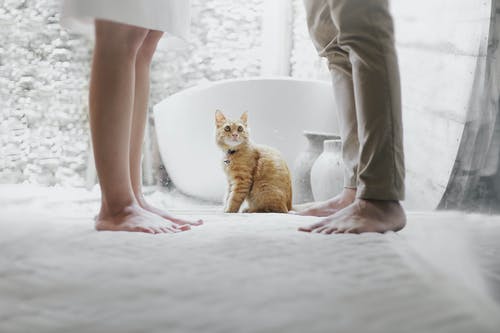一個(gè)男人吼你說明什么?男人沖你發(fā)火代表什么
