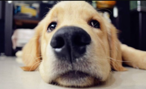 怎么解決心理三大煩惱 怎么解決心理三大煩惱