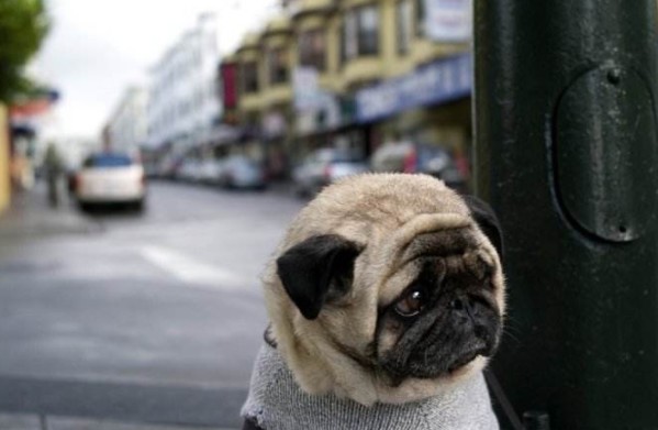 怎么解決心理三大煩惱 怎么解決心理三大煩惱