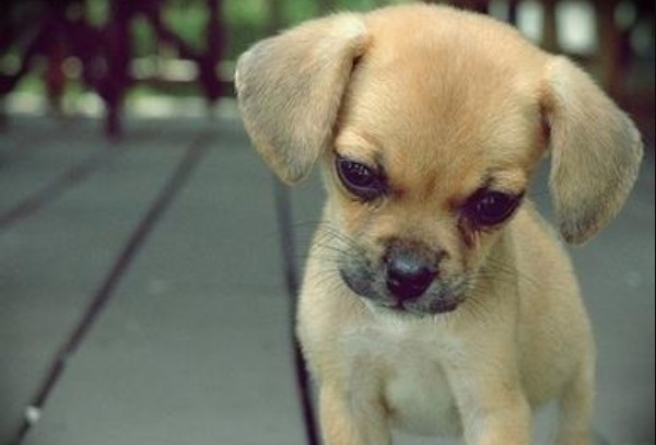 怎么解決心理三大煩惱