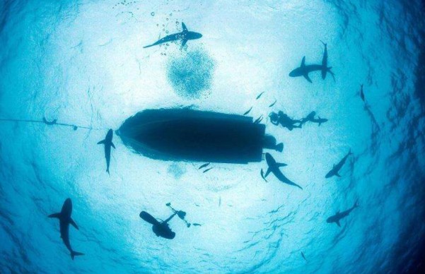 為什么會恐懼拍照 為什么會恐懼拍照