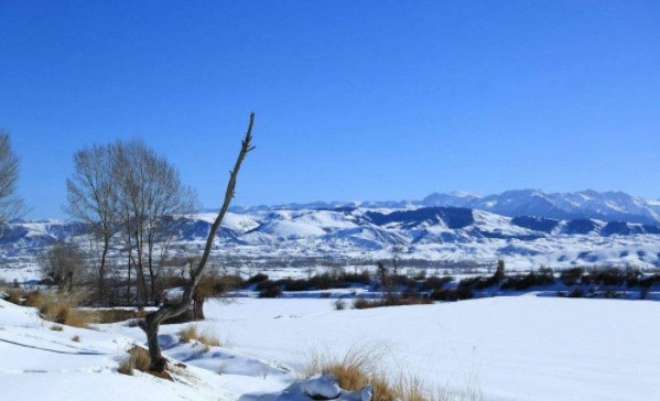 怎樣緩解冬日悲傷 怎樣緩解冬日悲傷