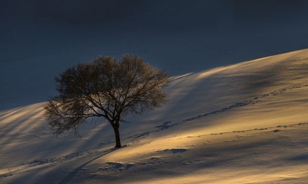 怎樣緩解冬日悲傷 怎樣緩解冬日悲傷