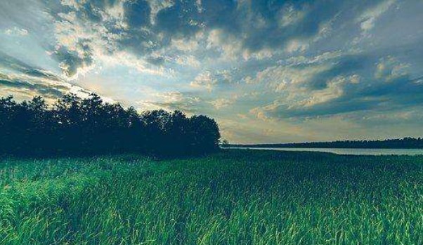 怎么改善優(yōu)柔寡斷 怎么改善優(yōu)柔寡斷