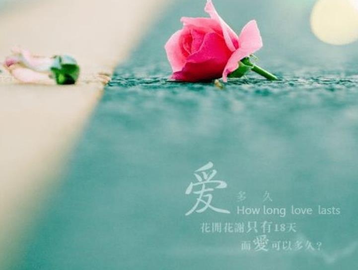 關(guān)系相處的最佳方式 關(guān)系相處的最佳方式