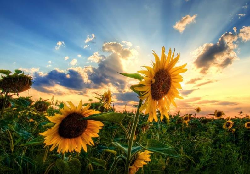 離開(kāi)不愛(ài)你的人開(kāi)始學(xué)會(huì)愛(ài)